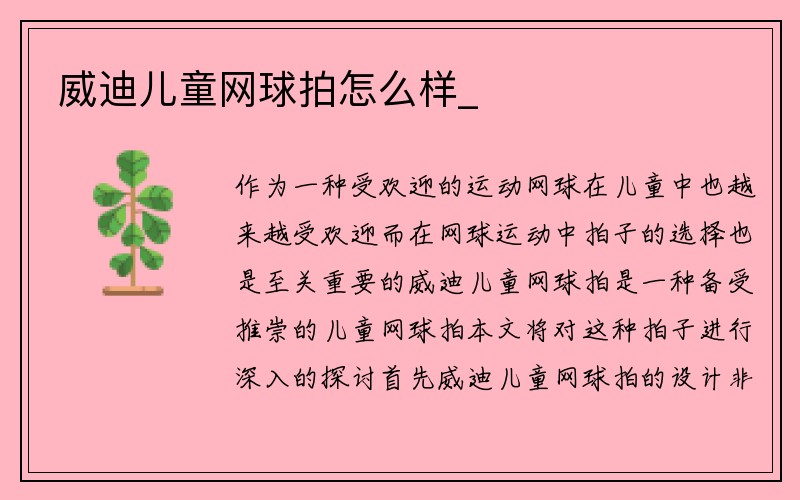 威迪儿童网球拍怎么样_