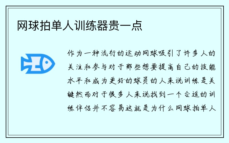 网球拍单人训练器贵一点